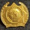 Insigna pin - InterPol Romania