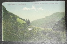 Carte postala, circulata, Baia Mare Cosinziana Usturoi, 1928