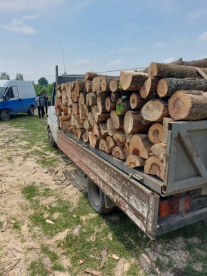 Vand lemne esenta tare foto