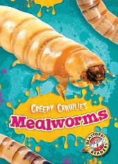 Mealworms foto