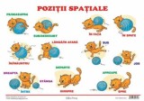 Planse pozitii spatiale - Erc Press