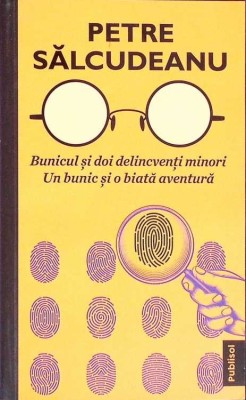 BUNICUL SI DOI DELINCVENTI MINORI. UN BUNIC SI O BIATA AVENTURA-PETRE SALCUDEANU-274609 foto