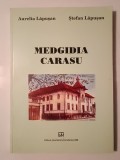 Aurelia Lăpușan; Ștefan Lăpușan - Medgidia Carasu (1996)