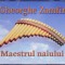 CD: Gheorghe Zamfir - Maestrul naiului ( 2005, set 3 discuri ca noi )