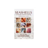 Seashells of Georgia and the Carolinas: A Beachcomber's Guide
