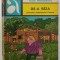 DE -A BIZA ( JOCURILE DETECTIVULUI CONAN ) de VLAD MUSATESCU , 1977