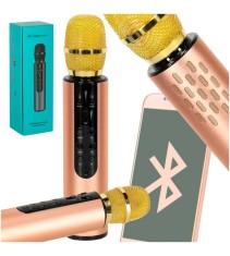 Microfon karaoke wireless pentru copii cu difuzor Bluetooth, baterie 2000 mAh, USB / card SD, auriu