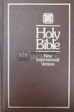 Holy Bible. New international version - 1987 (Y82)
