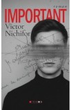 Important - Victor Nichifor