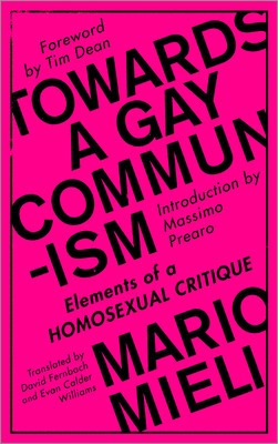 Towards a Gay Communism: Elements of a Homosexual Critique foto
