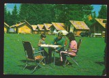 CPIB 22917 - CARTE POSTALA - COVASNA. VALEA ZANELOR, AUTOTURISM, Circulata, Fotografie