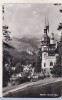 Bnk cp Sinaia - Muzeul Peles - circulata, Printata