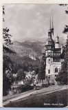 Bnk cp Sinaia - Muzeul Peles - circulata, Printata