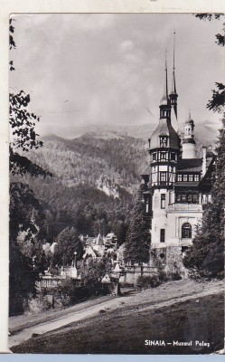 bnk cp Sinaia - Muzeul Peles - circulata foto