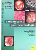 Liana Gheorghe - Vademecum in gastroenterologie (editia 2002)