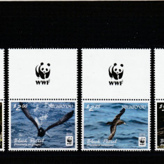 Niuafo'ou 2016-Fauna,Pasari,Petrelul negru,serie 4 val.cu vignete,MNH,Mi.607-610