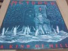 Disc vinil Metrock - A kind of hell