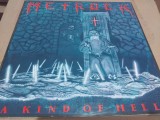 Disc vinil Metrock - A kind of hell
