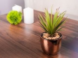 Suculent artificial in ghiveci auriu din ciment, 19 cm, MagicHome
