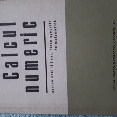 Calcul numeric manual an 2 liceu clase de matematica V.Brisca 1973