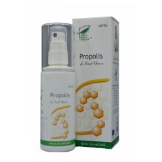 PROPOLIS SPRAY 100ML