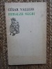 HERALZII NEGRI-CESAR VALLEJO