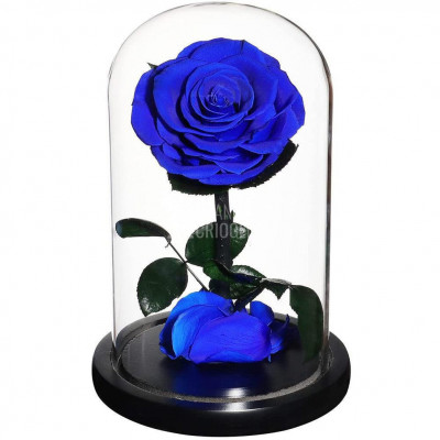 Trandafir Criogenat albastru &amp;Oslash;8cm in cupola de sticla, cu mesaj foto