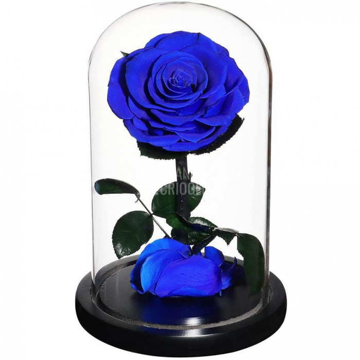 Trandafir Criogenat albastru &Oslash;8cm in cupola de sticla, cu mesaj