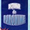 Dictionar de paronime