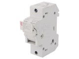 Separator cu Fuzibil 50A 690V pentru Șină DIN 14x51mm