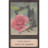 Viata in oglinzi