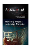 Rom&acirc;nii și tragedia scufundării Titanicului (Vol. 1) - Paperback brosat - Dan-Silviu Boerescu - Integral