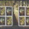 ROMANIA 2011, EUROPA CEPT, Fauna, Paduri, MNH