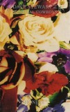 Dave Stewart And The Spiritual Cowboys - Honest, Caseta audio
