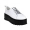 icon 5