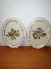 Pereche tablou cusut brodat vechi broderie manuala cu pasare pasari pe creanga rama ovala sintetica