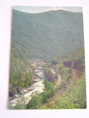 BVS - NORVEGIA 4 foto