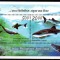 INDIA 2009, Fauna, serie neuzata, MNH