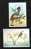 ghana pasari mnh