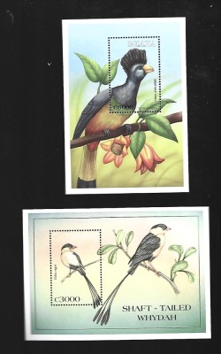 ghana pasari mnh foto
