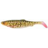 Shad 4D Herring Shad 16cm 28G Pike 2buc