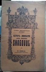 Snagovul c&amp;acirc;teva indicații asupra mănăstirii foto