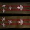 C1 7 - Grade militare - comunism - camasa bluza - colonel infanterie