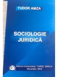 Tudor Amza - Sociologie juridica (Editia: 2004)