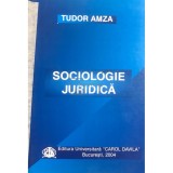 Tudor Amza - Sociologie juridica (Editia: 2004)