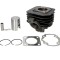 Set motor Daelim - Honda Dio - SRX 50 Shadow - Kymco CX Curio - DJ - ZX - SYM DD 2T AC 50cc D39.00 mm bolt 12