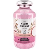 Parfum Concentrat pentru Rufe, Absolute Cashmere, 250 ML, EXPRESS