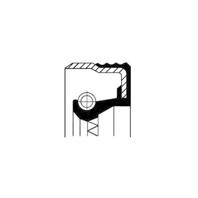 Simering diferential Corteco 12017376B foto