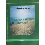 FIZIOLOGIA PLANTELOR DIN PAJISTI-ALEXANDRINA MURARIU-251690