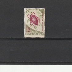 Carabus culoare schimbata 1956 ,nr lista 413a , Romania.